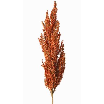 Dekorativní větev čiroku WADDY s klasy, oranžová, 80cm Dekorativní větev čiroku WADDY s klasy, oranžová, 80cm