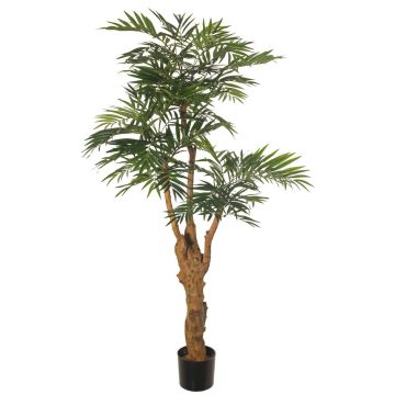 Umělá horská palma QUOKKA, umělý kmen, 160 cm