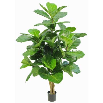Umělý Ficus Lyrata APOKO, pravé stonky, zelený, 170cm Umělý Ficus Lyrata APOKO, pravé stonky, zelený, 170cm