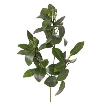 Umělá větev mangrovníku USTERA, pupeny, nehořlavé, zelená, 60cm
