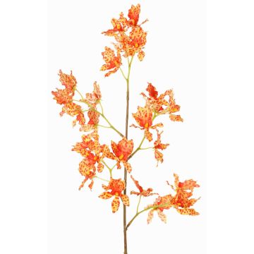 Umělá větev orchideje Odontoglossum BELANIA, oranžovo-žlutá, 75cm