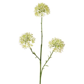Dekorativní větvička Allium ALIKIO, bílá, 65cm, Ø7cm Dekorativní větvička Allium ALIKIO, bílá, 65cm, Ø7cm