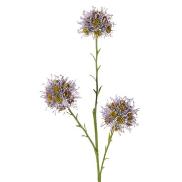 Umělá větvička Allium ZEBU, fialová, 65cm, Ø6cm Umělá větvička Allium ZEBU, fialová, 65cm, Ø6cm