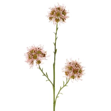 Allium ZEBU umělá větvička, růžová, 65cm, Ø7cm