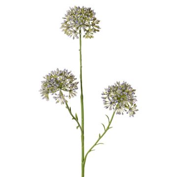 Dekorativní větvička Allium ALIKIO, modrá, 65cm, Ø7cm