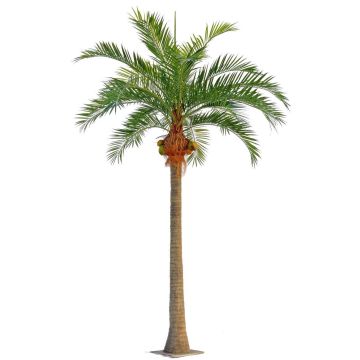 Dekorativní kokosová palma NARUN s kokosovými ořechy, 570cm