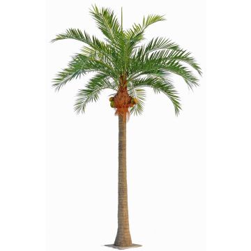 Dekorativní kokosová palma NARUN s kokosovými ořechy, 570cm Dekorativní kokosová palma NARUN s kokosovými ořechy, 570cm