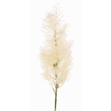 Umělý keř parukářka RADERAS s květy, krémová, 70cm, Ø10cm Umělý keř parukářka RADERAS s květy, krémová, 70cm, Ø10cm