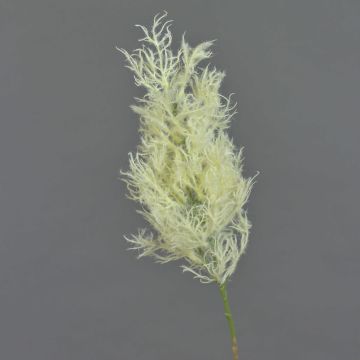 Umělý keř parukářka RADERAS s květy, krémová, 70cm, Ø10cm