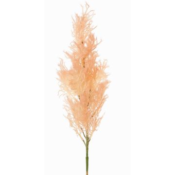 Umělý parukářský keř RADERAS s květy, broskvový, 70cm, Ø10cm Umělý parukářský keř RADERAS s květy, broskvový, 70cm, Ø10cm