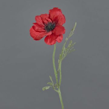 Umělá sasanka OKAPI, červená, 55cm, Ø10cm