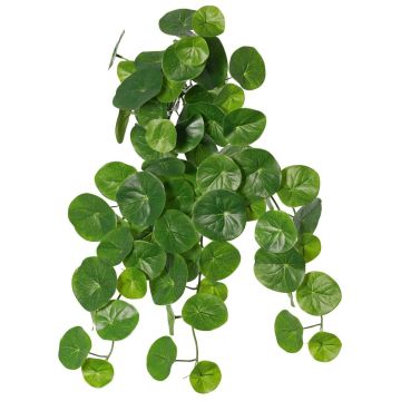 Umělá Stephania erecta ANOGIA na tyči, zelená, 50cm