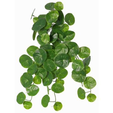 Umělá Stephania erecta ANOGIA na tyči, zelená, 50cm