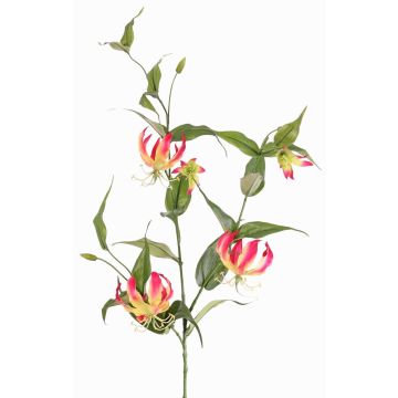 Umělá koruna slávy KINTARO, růžovožlutá, fuchsiovo-žlutá, 120cm Umělá koruna slávy KINTARO, růžovožlutá, fuchsiovo-žlutá, 120cm