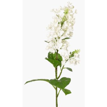 Dekorativní šeříková větev ADMIR, bílá, 80cm, Ø6-9cm Dekorativní šeříková větev ADMIR, bílá, 80cm, Ø6-9cm