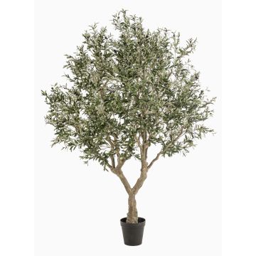 Umělý olivovník ZALIKI, umělý kmen, ovoce, zelený, 250cm