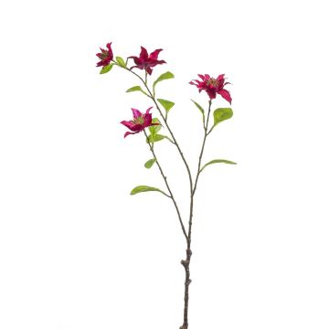 Dekorativní větev plaménku RUHNA, tmavě růžová, 75cm