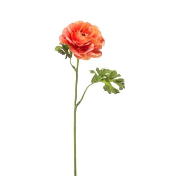 Umělá květina ranunculus KRISTY, lososově oranžová, 60cm, Ø10cm Umělá květina ranunculus KRISTY, lososově oranžová, 60cm, Ø10cm