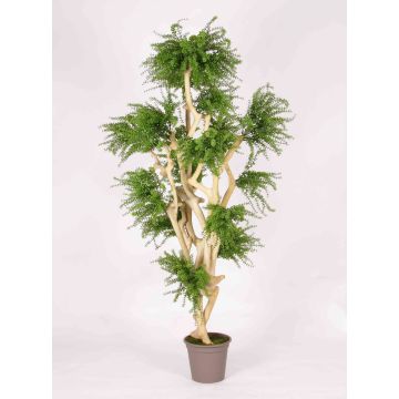 Umělý stromek Abelia DIMYTRO s přírodními kmeny, křížový, zelený, 185cm - Vyrobeno v Itálii