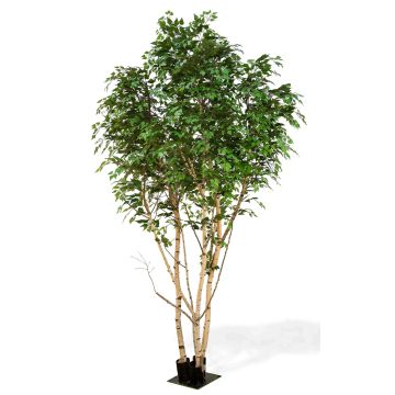 Umělá stříbrná bříza ILSEDORE, přírodní stonky, zelená, 400 cm - vyrobeno v Itálii