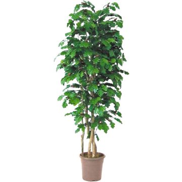 Umělý dub MIREEN, přírodní kmeny, s plody, zelený, křížový, 250cm - Vyrobeno v Itálii Umělý dub MIREEN, přírodní kmeny, s plody, zelený, křížový, 250cm - Vyrobeno v Itálii