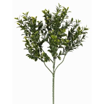 Umělý věnec z buxusu TOM, na ratanu, 180 listů, 45cm Umělý věnec z buxusu TOM, na ratanu, 180 listů, 45cm