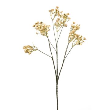 Umělá gypsophila LITAGO, suchý vzhled, béžová, 70cm, Ø1,5cm Umělá gypsophila LITAGO, suchý vzhled, béžová, 70cm, Ø1,5cm
