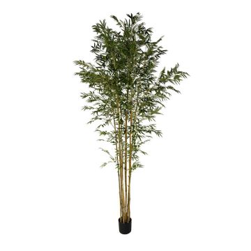 Umělý strom japonský šípový bambus BAKNOR, přírodní stonky, 240cm Umělý strom japonský šípový bambus BAKNOR, přírodní stonky, 240cm