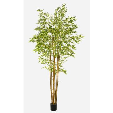 Umělý strom japonský šípový bambus BAKNOR, přírodní stonky, 240cm