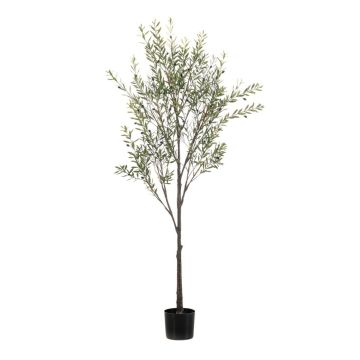 Umělý olivovník LONIRB s ovocem, umělý kmen, crossdoor, 175cm Umělý olivovník LONIRB s ovocem, umělý kmen, crossdoor, 175cm