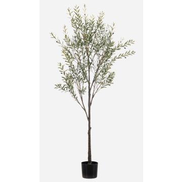 Umělý olivovník LONIRB s ovocem, umělý kmen, crossdoor, 175cm