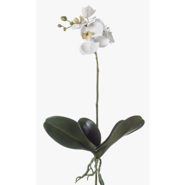 Umělá orchidej Phalaenopsis FAO na tyčce, bílá, 45cm