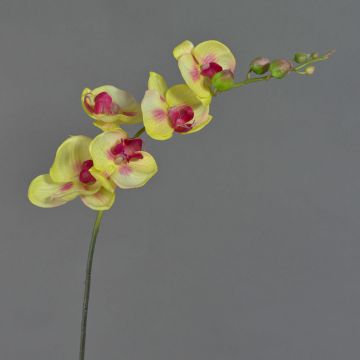 Uměl&aacute; větvička orchideje phalaenopsis DAJANA, žluto-růžov&aacute;, 90cm