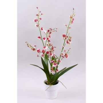 Umělá orchidej oncidium YOSEPHIN v hliněném květináči, bílo-červená, 70cm Umělá orchidej oncidium YOSEPHIN v hliněném květináči, bílo-červená, 70cm
