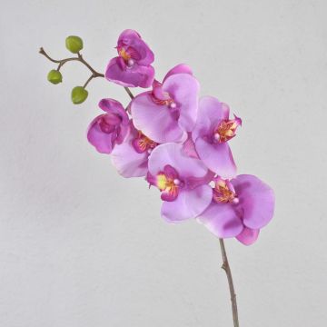 Umělá orchidej dendrobium phalaenopsis RICKY, růžová, 105cm Umělá orchidej dendrobium phalaenopsis RICKY, růžová, 105cm