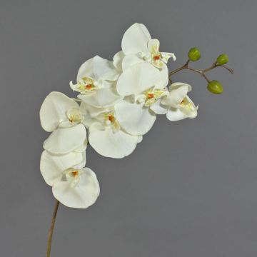 Dekorativní větev orchideje phalaenopsis RICKY, bílá, 105cm