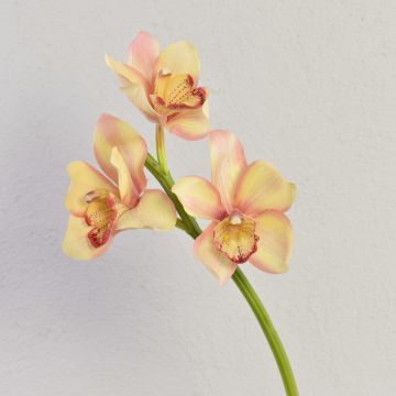 Umělá větvička orchideje cymbidium SERAPHINA, žluto-růžová, 45cm Umělá větvička orchideje cymbidium SERAPHINA, žluto-růžová, 45cm