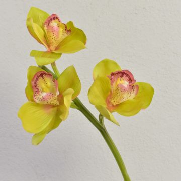 Umělá větvička orchideje cymbidium SERAPHINA, zeleno-růžová, 45cm Umělá větvička orchideje cymbidium SERAPHINA, zeleno-růžová, 45cm