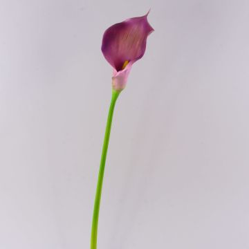 Umělá květina kornoutovka TERESA, fialová, 70cm, 10x18cm Umělá květina kornoutovka TERESA, fialová, 70cm, 10x18cm