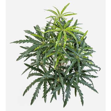 Umělá prstová arálie PANGON na tyči, zelená, 50 cm Umělá prstová arálie PANGON na tyči, zelená, 50 cm