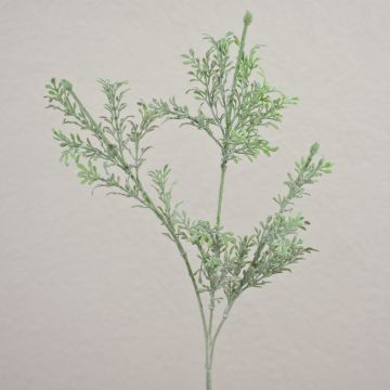 Umělý zimostráz RODGER, 60cm Umělý zimostráz RODGER, 60cm