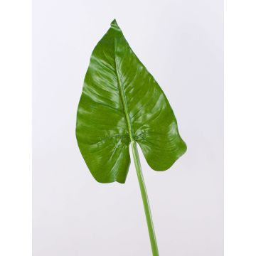 Umělecká plachta Calla FRANSCHESKA, zelená, 70cm