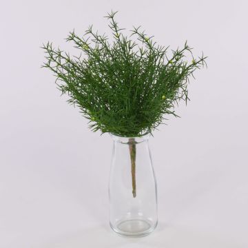 Plastový Asparagus sprengeri FREDERICK, tyčinka, 25 cm Plastový Asparagus sprengeri FREDERICK, tyčinka, 25 cm