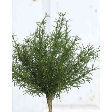 Plastový Asparagus sprengeri FREDERICK, tyčinka, 25 cm