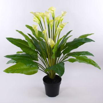 Umělá květina zantedeschia LAURENCE, bílá, 130cm, 8x13cm