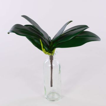 Umělé listy Phalaenopsis Orchid DAPHI, vzdušné kořeny, 35cm