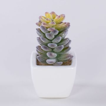 Umělé pachyphytum oviferum ROBBIE, keramický květináč, zelený, 13cm