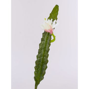 Umělecká kaktusová královna noci DOMENICA, květina, bílá, 50cm