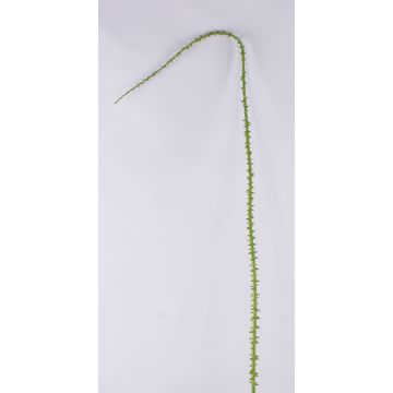 Umělá větev trnová růže ALOISA, zelenohnědá, 180cm Umělá větev trnová růže ALOISA, zelenohnědá, 180cm