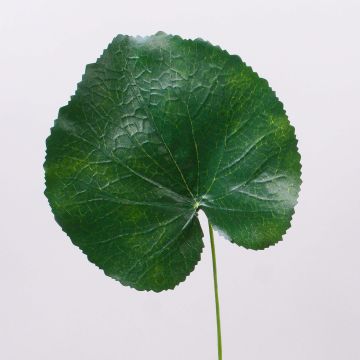 List z umělého pelargónie HEIDEGARD, zelený, 38cm, Ø14cm List z umělého pelargónie HEIDEGARD, zelený, 38cm, Ø14cm